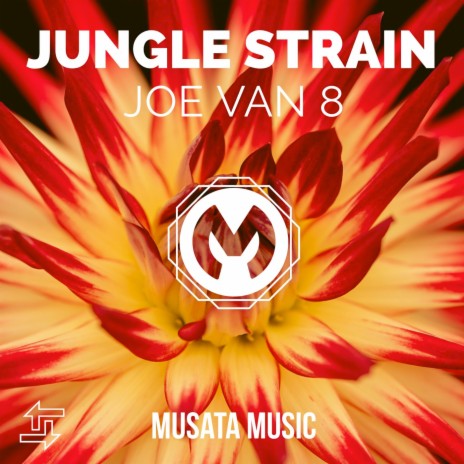 Jungle strain | Boomplay Music