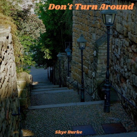 Don't Turn Around | Boomplay Music