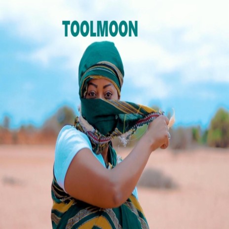 Toolmoon (feat. Hirut) | Boomplay Music