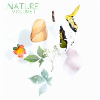 Nature, Vol. 1