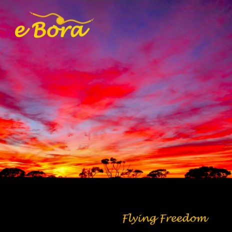 Flying Freedom | Boomplay Music