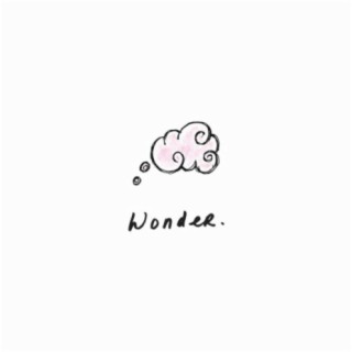 Wonder