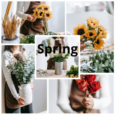 Spring | Boomplay Music