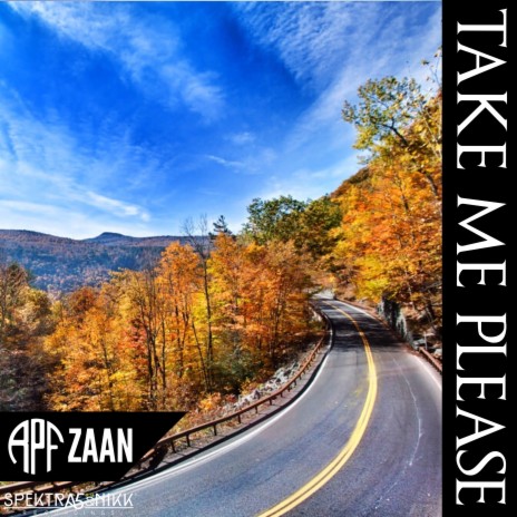 Take Me Please ft. ZAAN | Boomplay Music