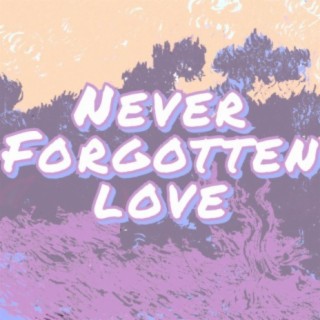 Never Forgotten Love