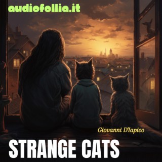 Strange cats