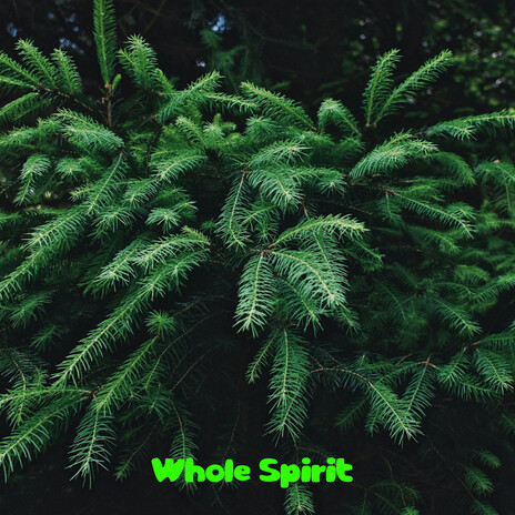 Whole Spirit | Boomplay Music