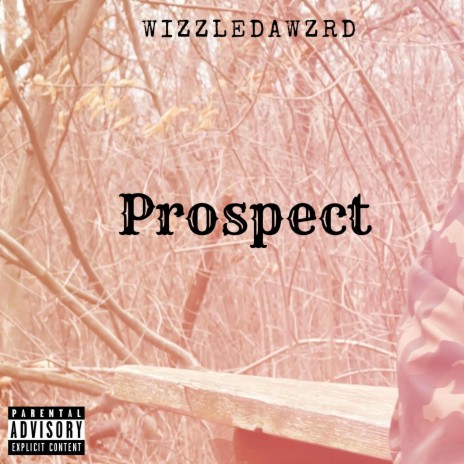 Prospect-Instrumental