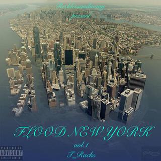 FLOOD NY, Vol. 1