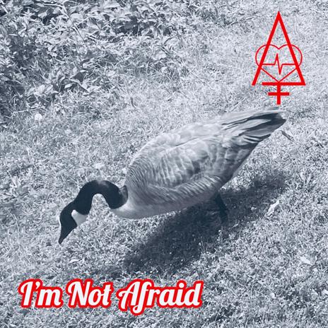 I'm Not Afraid | Boomplay Music