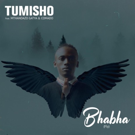 Bhabha (Fly) ft. Mthandazo Gatya & Comado | Boomplay Music