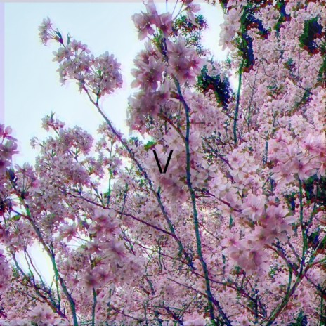 sakura | Boomplay Music