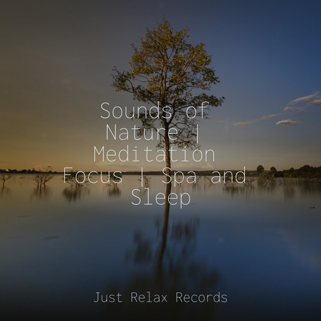 Silent Drifts of Time ft. Música Para Meditar & Meditar Profundamente | Boomplay Music