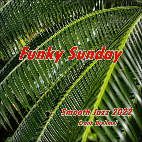 Funky Sunday | Boomplay Music