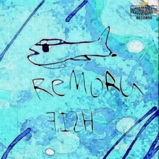 Remora Fish