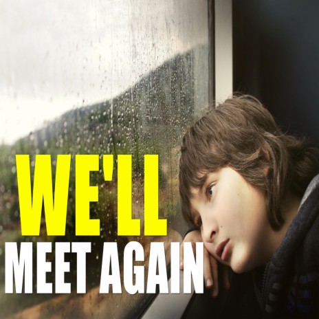 We'll Meet Again | Boomplay Music