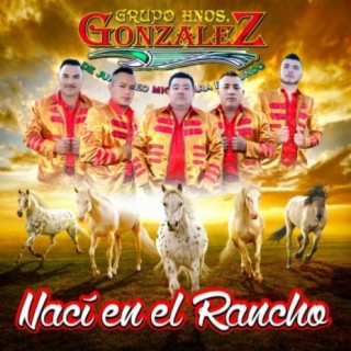 Grupo Hnos Gonzalez de Jungapeo Michoacan