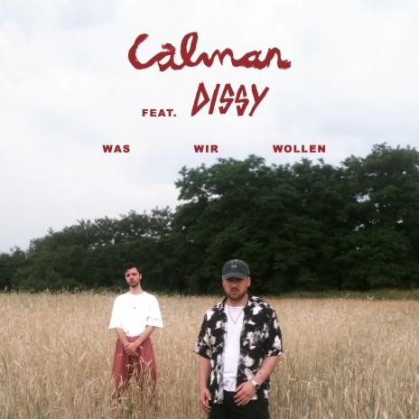 Was wir wollen ft. DISSY | Boomplay Music