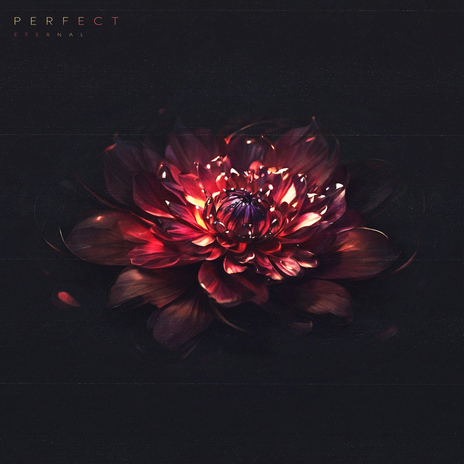 Perfect | Boomplay Music