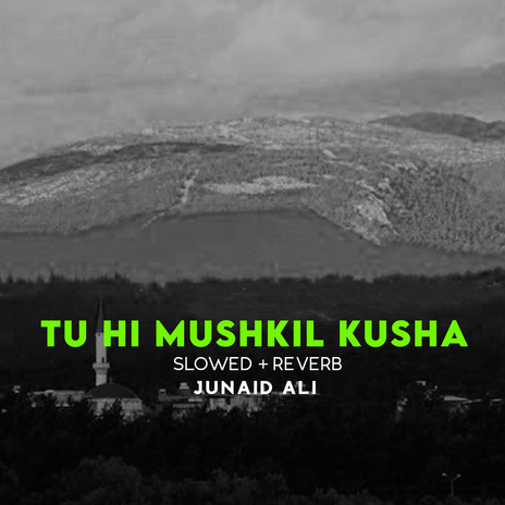 Tu Hi Mushkil Kusha Lofi | Boomplay Music