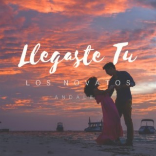 Llegaste tu