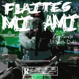 Flaites En Miami lyrics | Boomplay Music