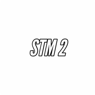STM 2