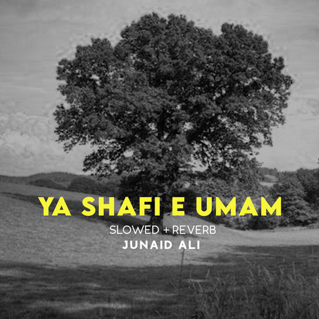 Ya Shafi e Umam Lofi | Boomplay Music