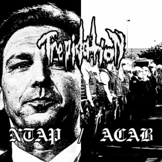 NTAP/ACAB lyrics | Boomplay Music