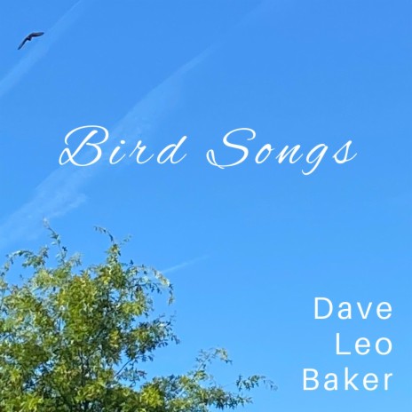 Bird Songs | Boomplay Music