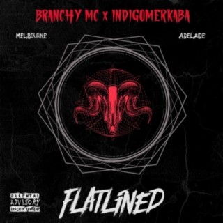 Flatlined (feat. indigomerkaba)