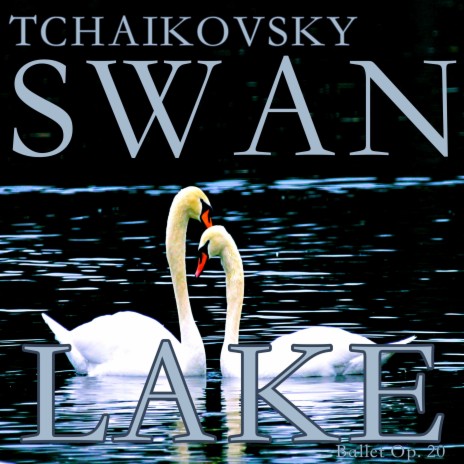 Swan Lake Ballet, Op. 20, Act 2: II. Scene