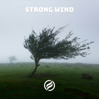 Strong Wind