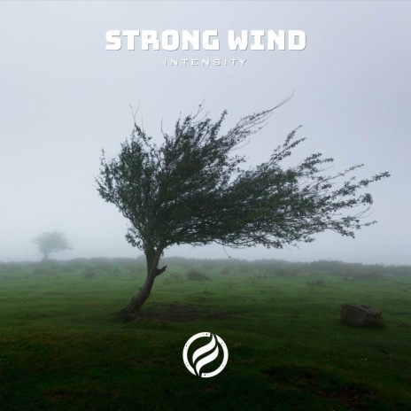 Strong Wind | Boomplay Music