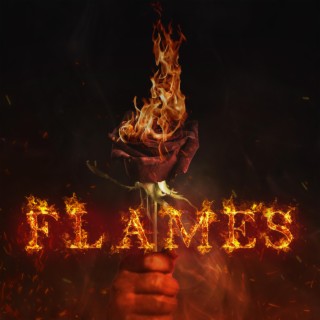 Flames lyrics | Boomplay Music