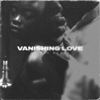 Vanishing Love (Radio Edit)