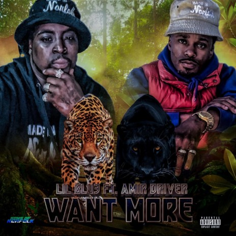 WANT MORE ft. Amir Driver | Boomplay Music