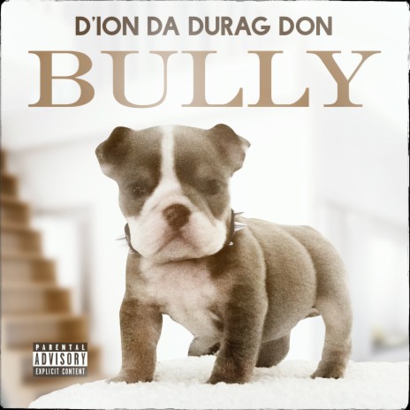 Bully | Boomplay Music