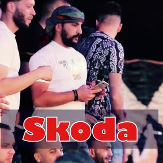 سكودا معها ردار - skoda - امير هريني