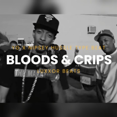 Bloods & Crips