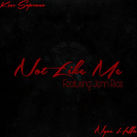 Not Like Me ft. Nyce Hoffa & Jenn Rios