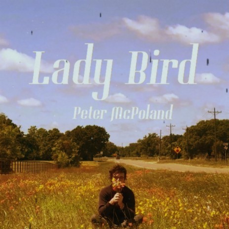 Lady Bird | Boomplay Music