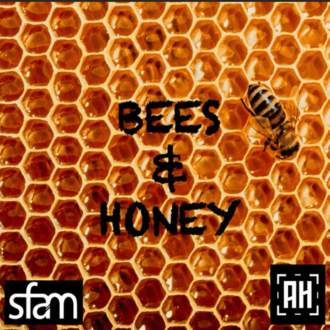 Bees & Honey | Boomplay Music