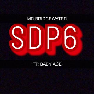 SDP6