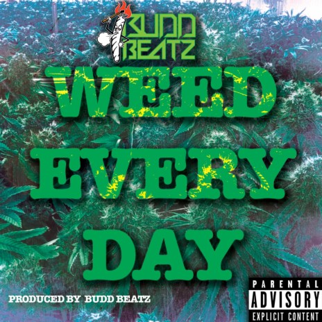 Weed Everyday | Boomplay Music