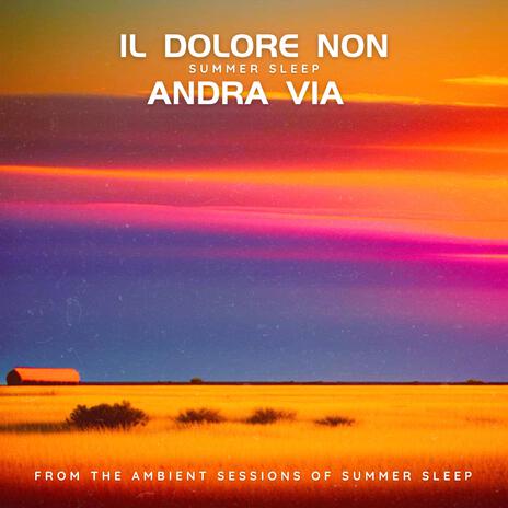 Il Dolore Non Andra Via | Boomplay Music