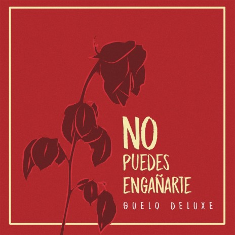 No Puedes Engañarte | Boomplay Music