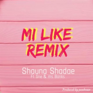 Mi Like (feat. Sne & Ms Banks)