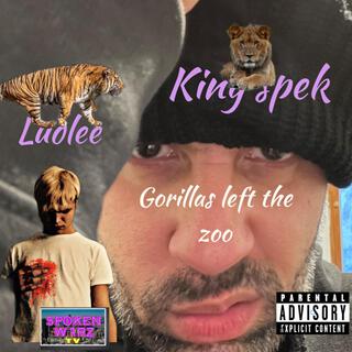 King spek gorillas left