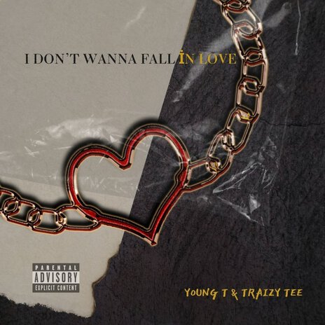 I Don't Wanna Fall in Love ft. Traizy Tee